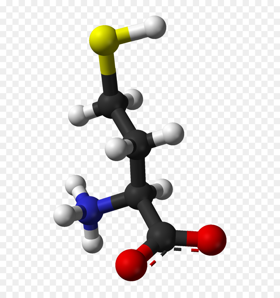 Homocisteína，Molécula PNG