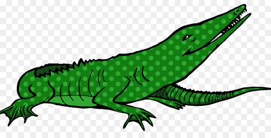 Comum Iguanas，Crocodilo PNG