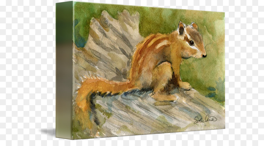 Chipmunk，Pintura Em Aquarela PNG