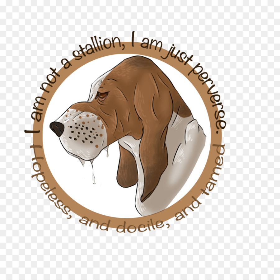 Beagle，Filhote De Cachorro PNG