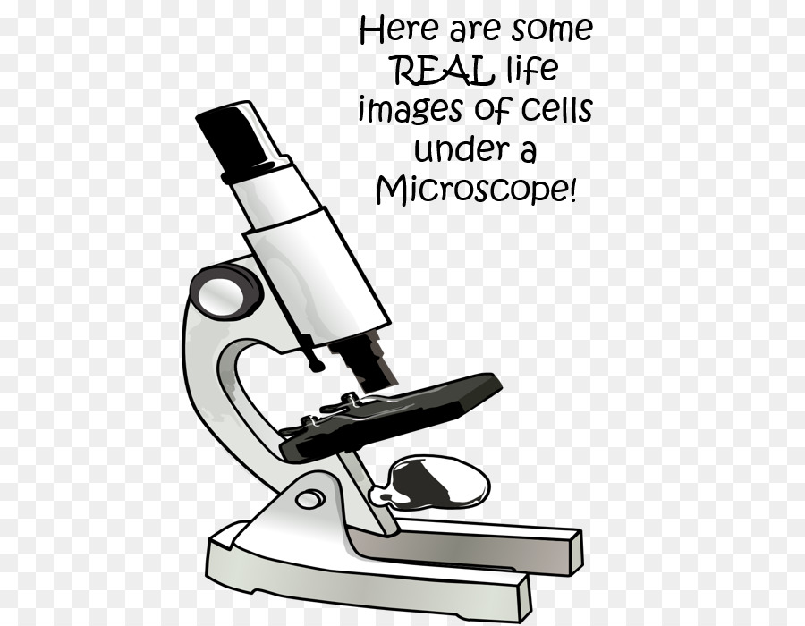 Microscópio，Laboratório PNG