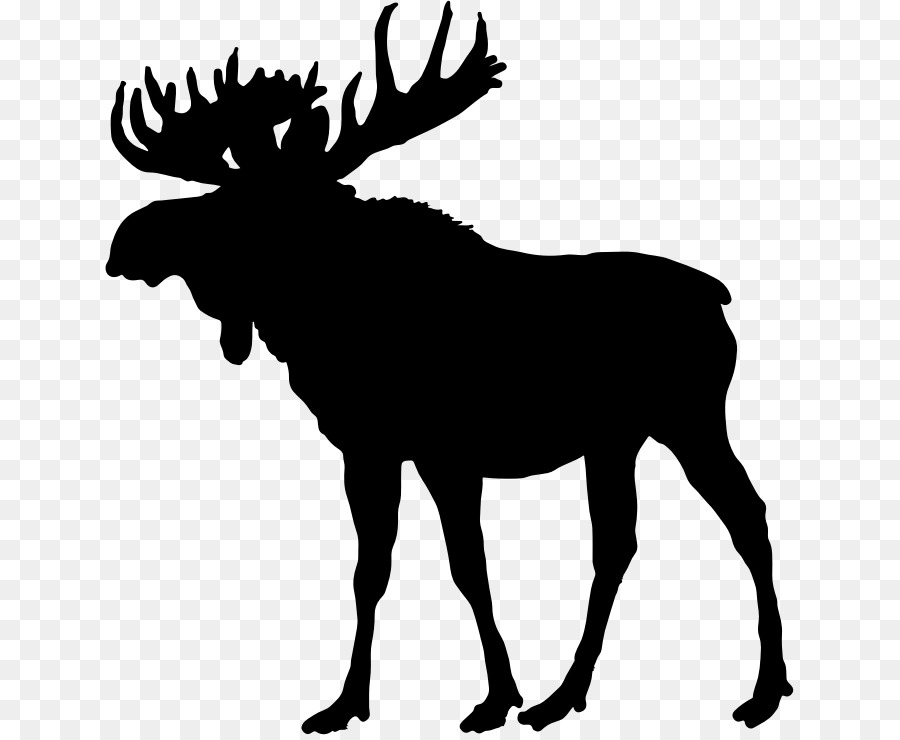 Moose，Veado PNG