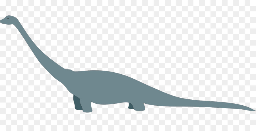 Dinossauro Verde，Desenho Animado PNG