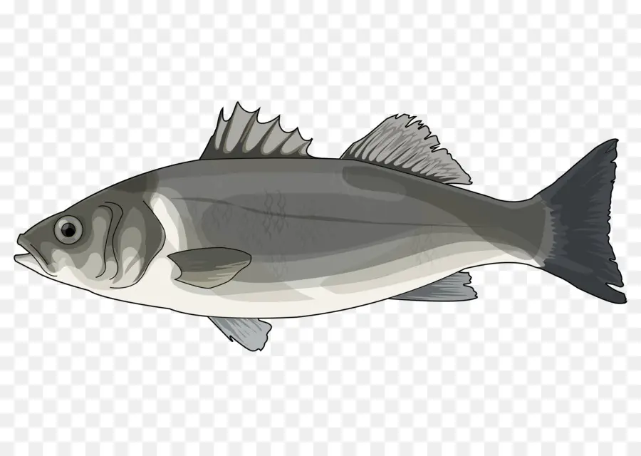 Bacalhau，Europeia Baixo PNG