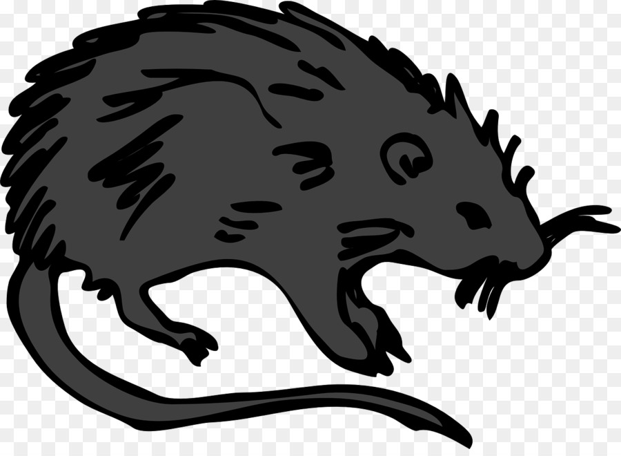 Rato Cinzento，Roedor PNG