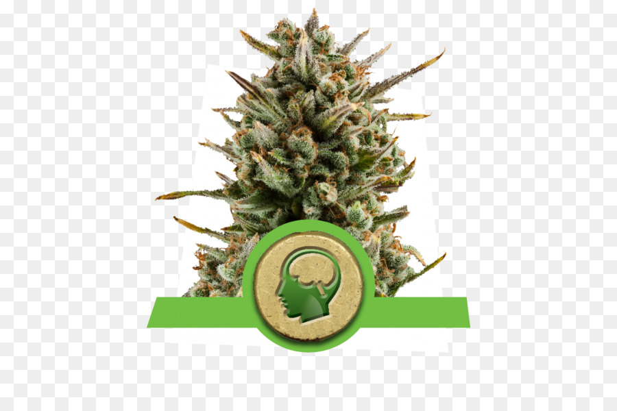 Botão De Cannabis，Maconha PNG