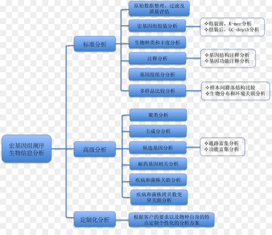 Dermatologia，16s Do Rna Ribossomal PNG