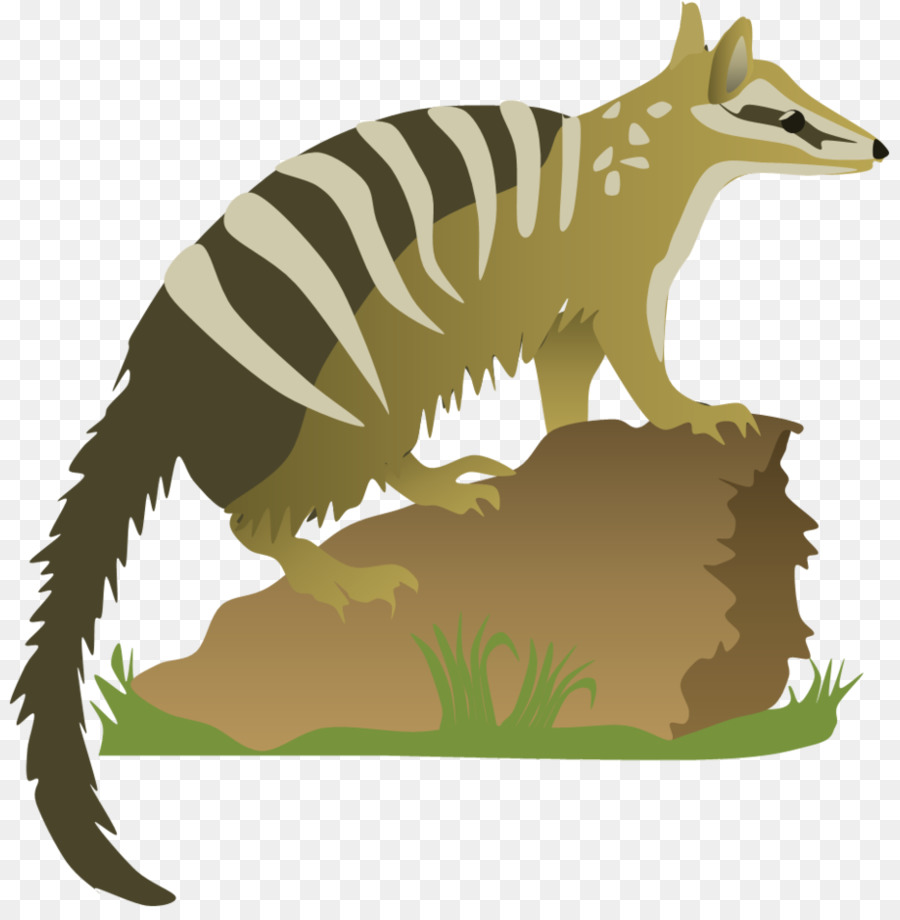 Numbate，Marsupial PNG