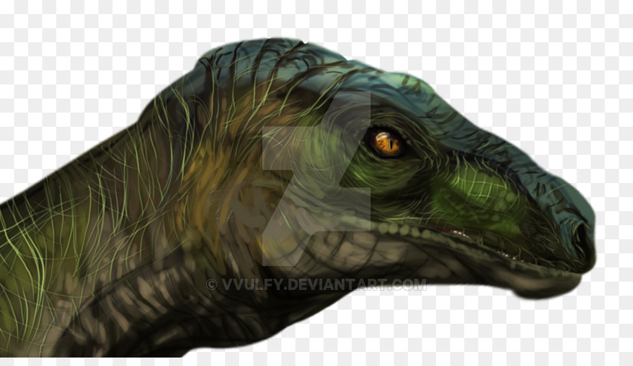 Velociraptor，Tiranossauro PNG