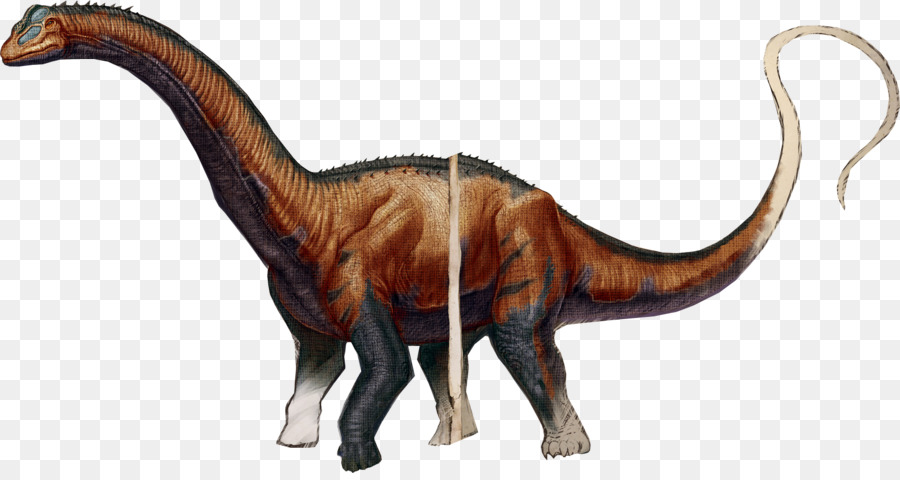 Arca De Sobrevivência Evoluiu，Brontosaurus PNG