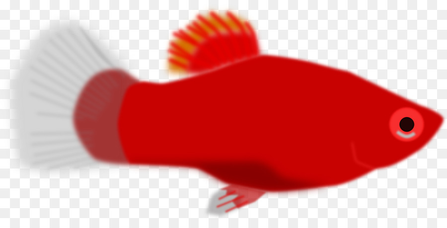 Peixe Vermelho，Aquático PNG