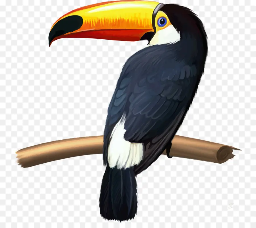 Tucano，Filial PNG