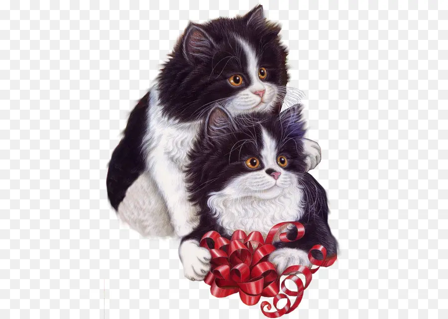 Gatinhos，Gatos PNG