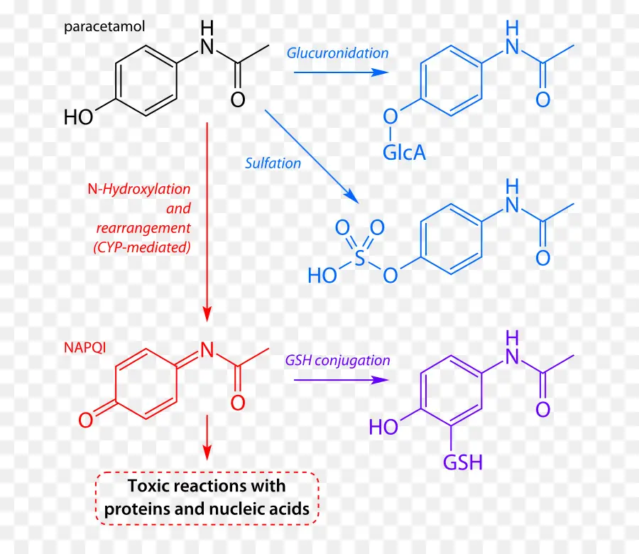 Reação Química，Molécula PNG