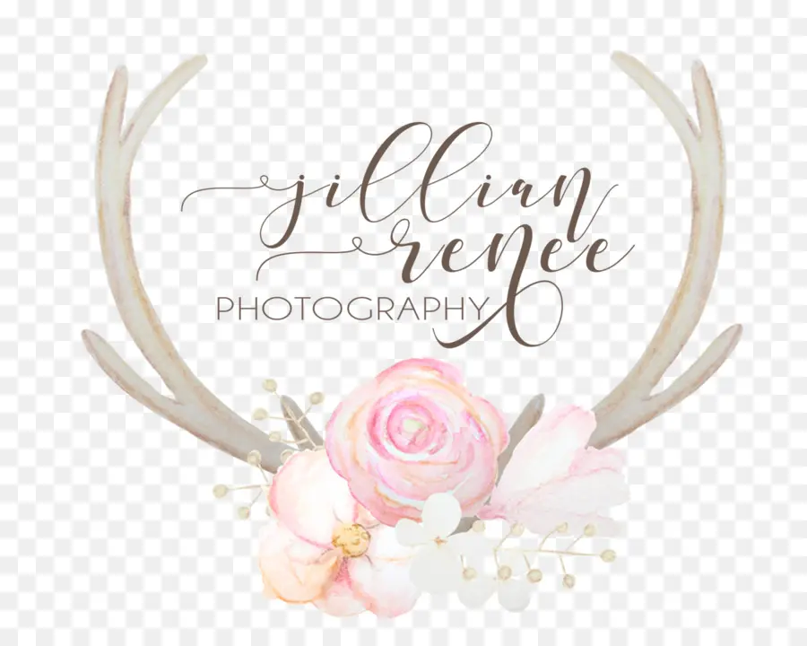 Logotipo De Fotografia，Jillian Renée PNG