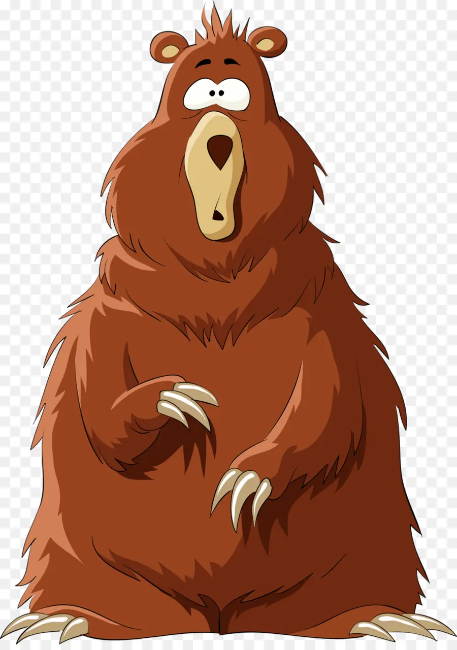 Urso，Fotografia De Stock PNG