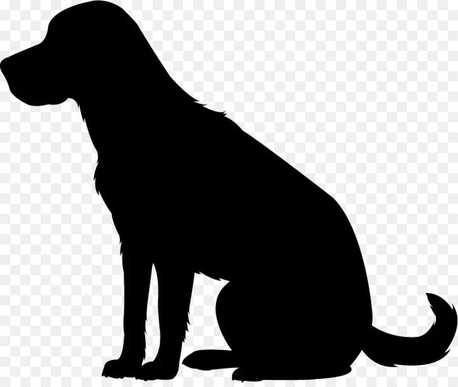 Labrador Retriever，Filhote De Cachorro PNG