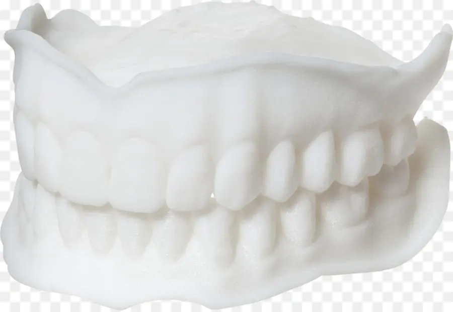 Modelo Odontológico，Dentes PNG