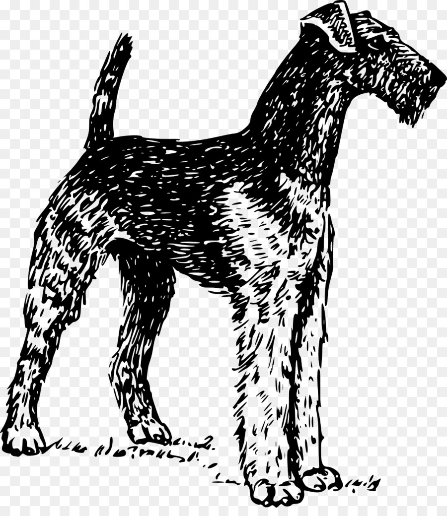 Airedale Terrier，Bedlington Terrier PNG