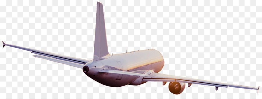 Avião，Voo PNG