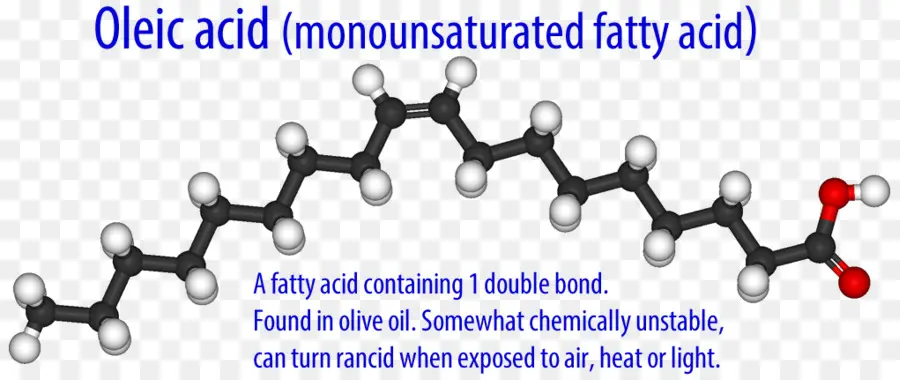 Gordura Insaturada，O ácido Oléico PNG