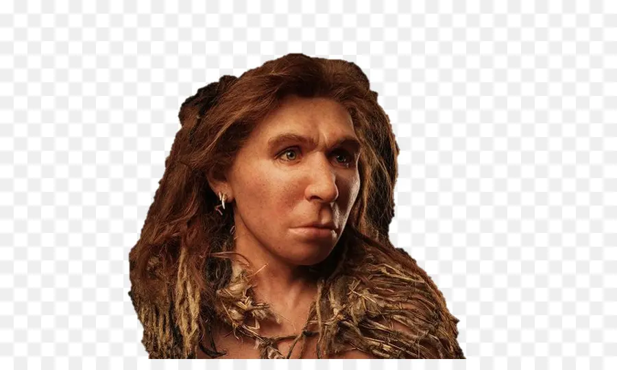 Mulher Neandertal，Ancestral PNG