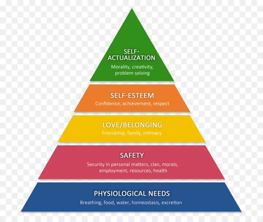Hierarquia De Necessidades De Maslow，Necessidade PNG