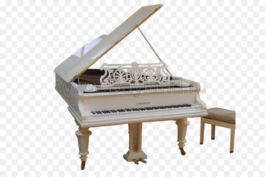 Piano De Cauda，Música PNG