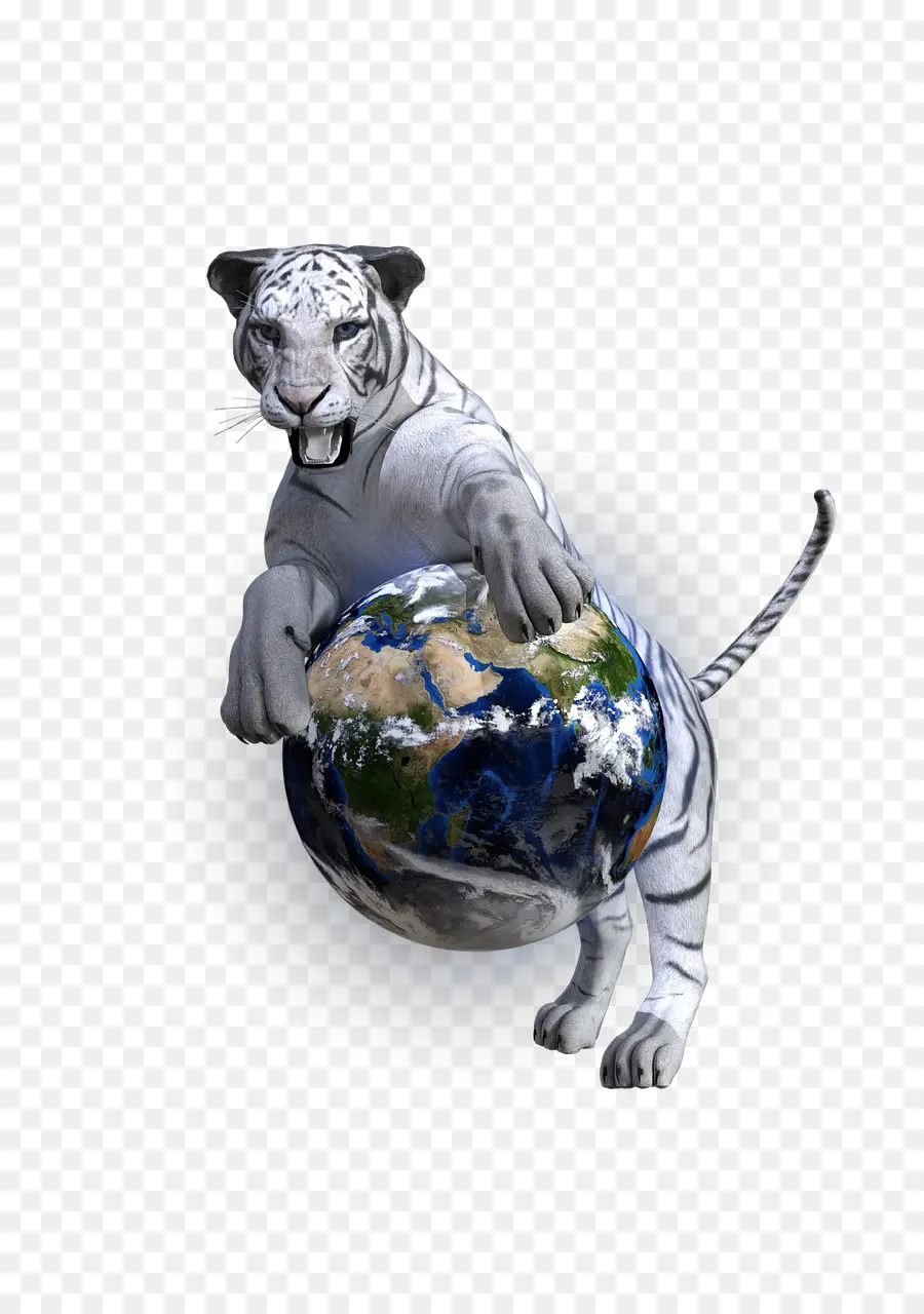 Tigre Branco Com Globo，Terra PNG