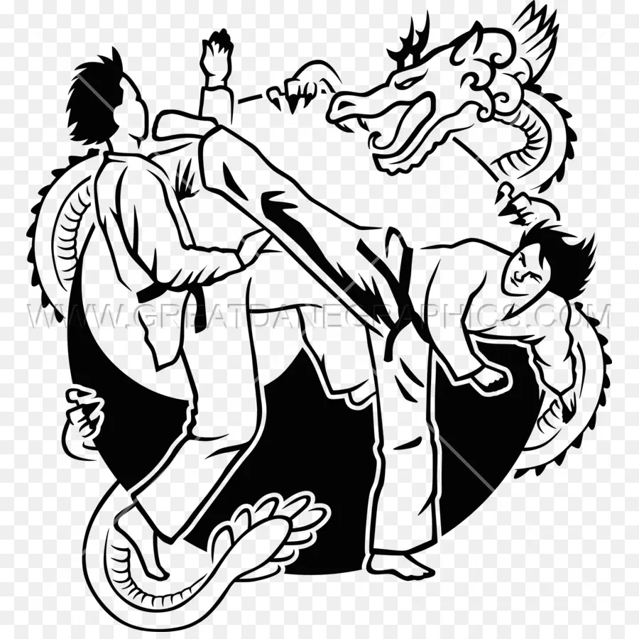 Artes Marciais，Dragão PNG