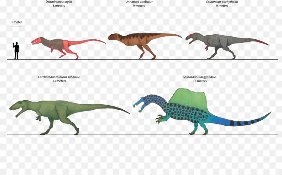 Comparação De Dinossauros，Dinossauro PNG