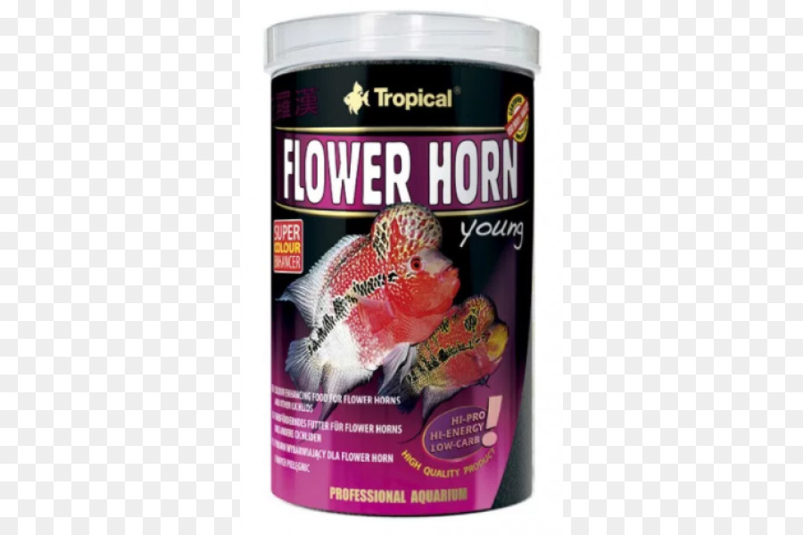 Flower Horn，Ciclídeo PNG