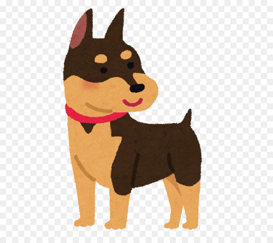 Kelpie Australiano，Filhote De Cachorro PNG