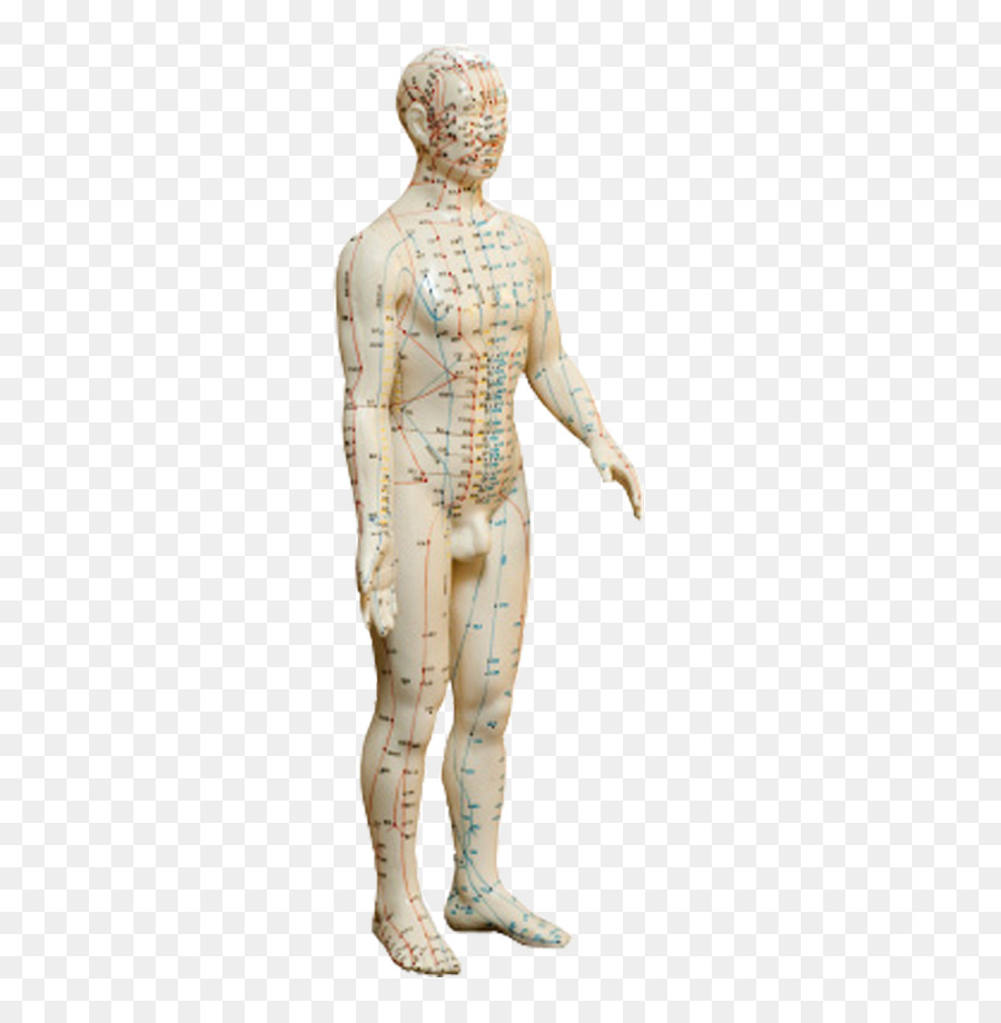 Escultura，Escultura Clássica PNG