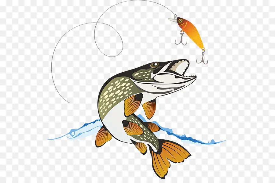 Peixe，Pesca PNG