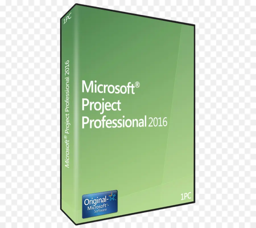 Microsoft Project Profissional 2016，Programa PNG