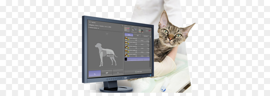 Gato E Monitor，Veterinário PNG