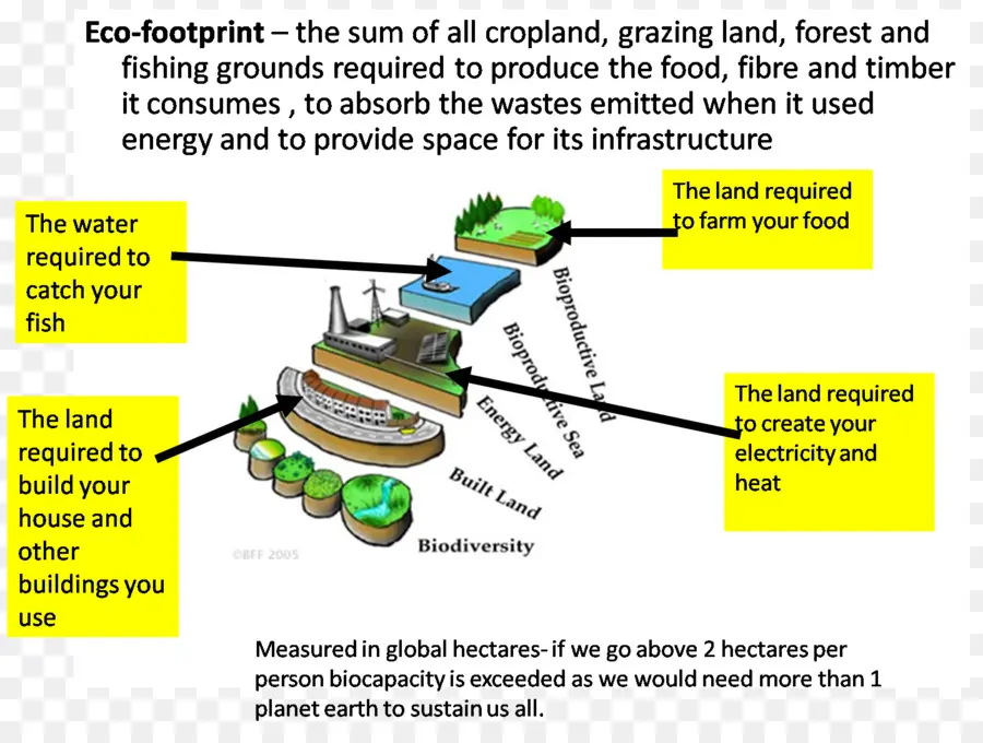 Pegada Ecológica，Ambiente PNG