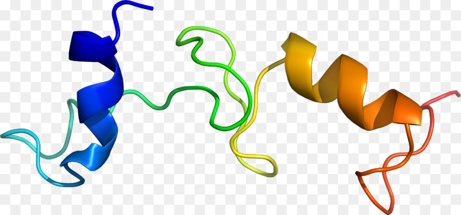 Hélice De Proteína，Molécula PNG