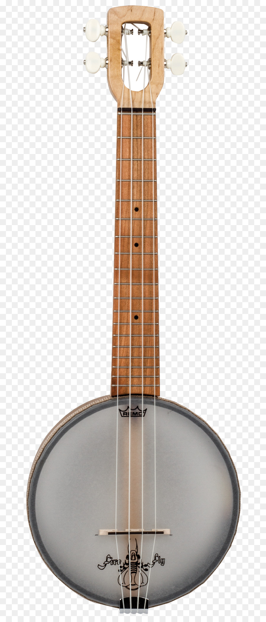 Banjo，Corda PNG