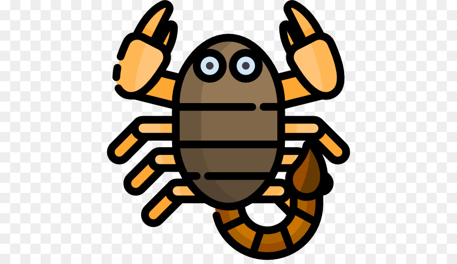 Aranha Dos Desenhos Animados，Inseto PNG