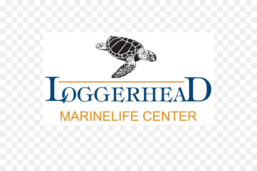 Loggerhead Marinelife Center，Cabeçuda Parque PNG