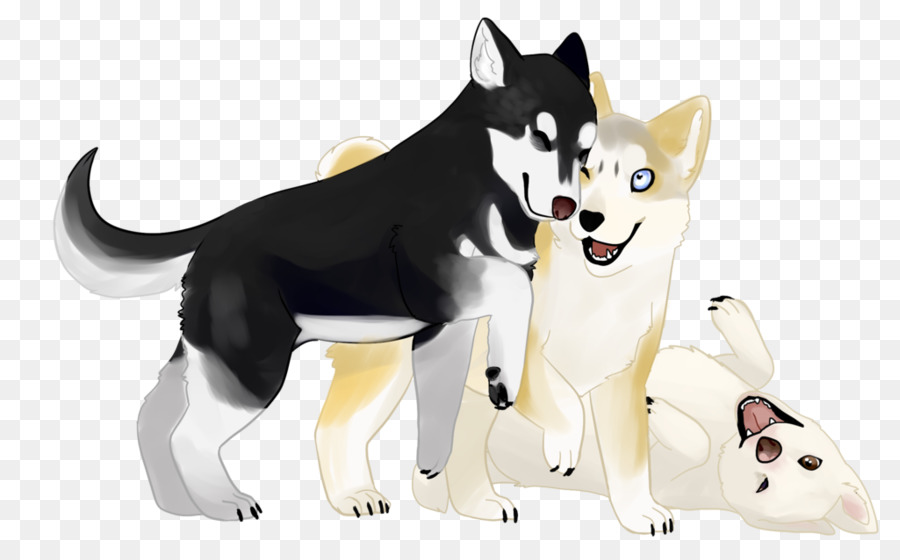 Huskies，Filhote De Cachorro PNG