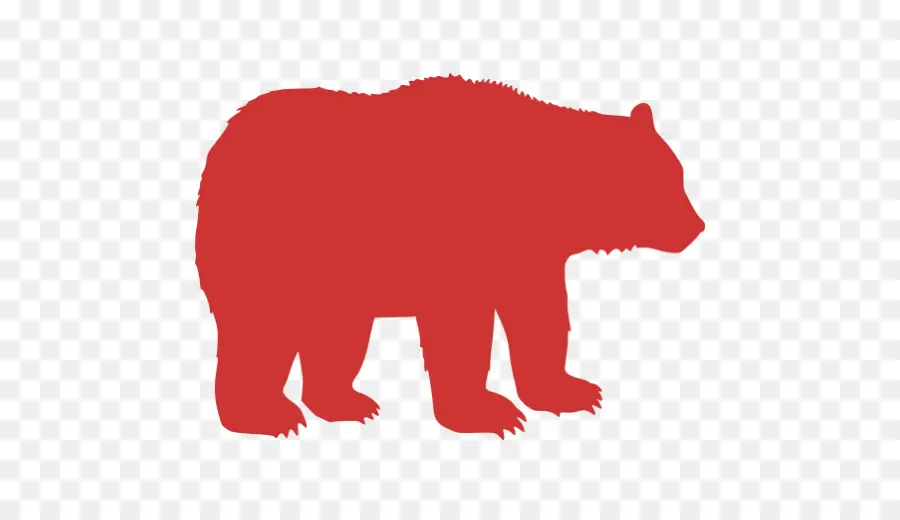 Americano Urso Preto，Urso PNG