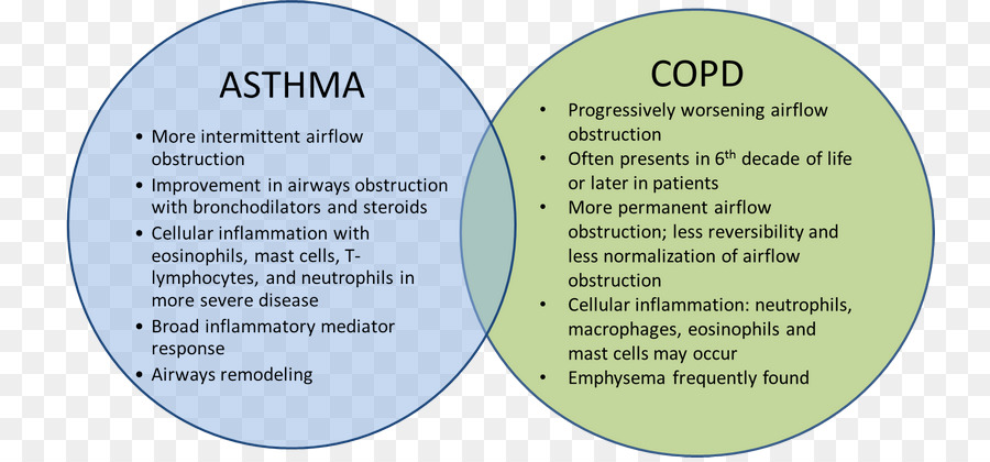 Doença Pulmonar Obstrutiva Crônica，A Asma PNG