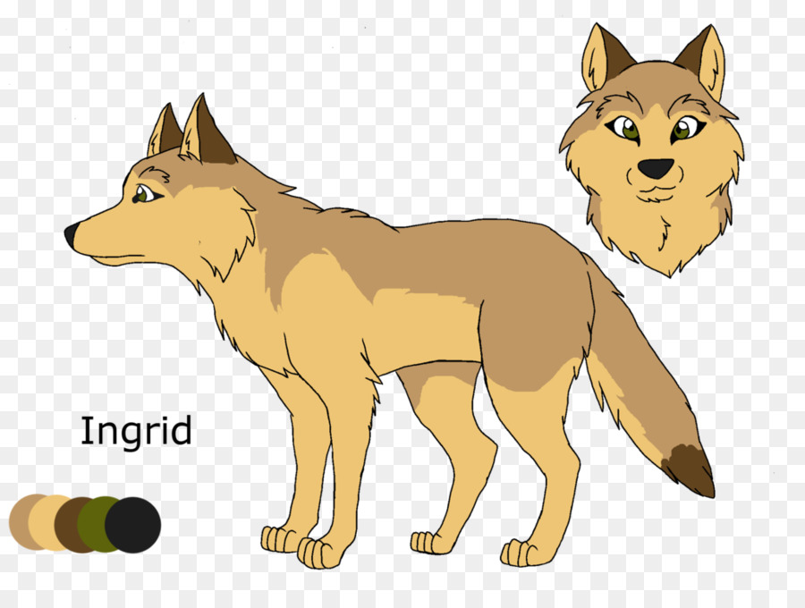 Raposa Vermelha，Coyote PNG