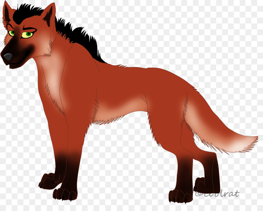 Lobo De Desenho Animado，Animal PNG