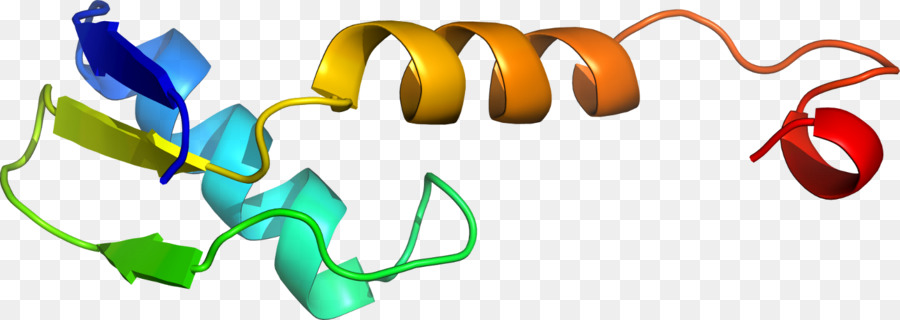 Hélice De Proteína，Molécula PNG