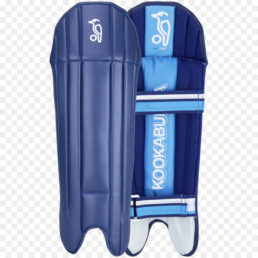 Wicketkeeper，Cricket PNG