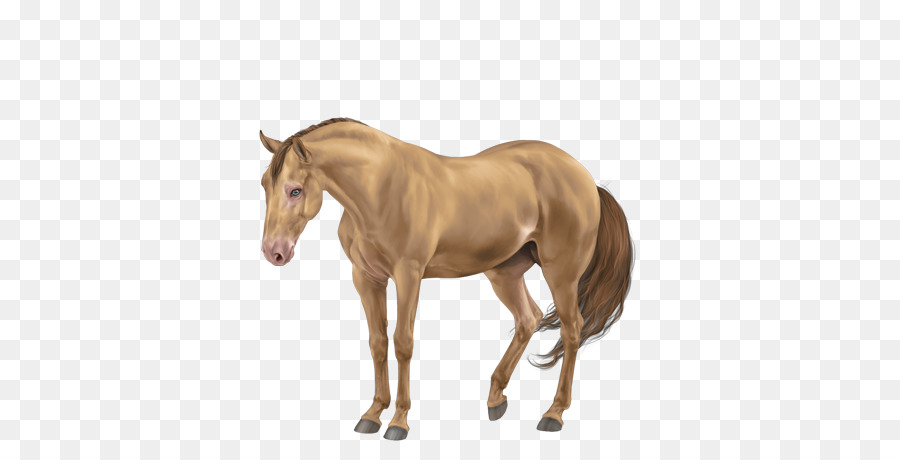 Mare，Potro PNG